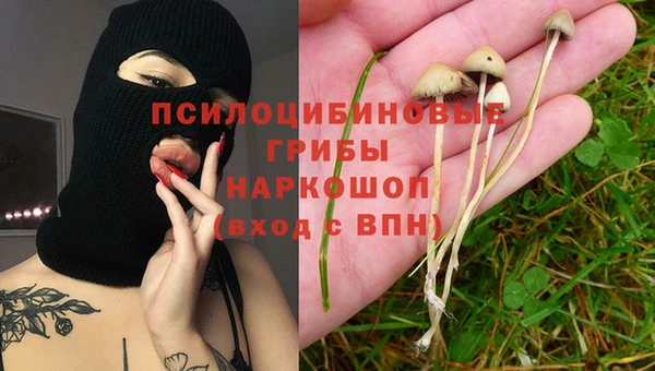 ECSTASY Аркадак